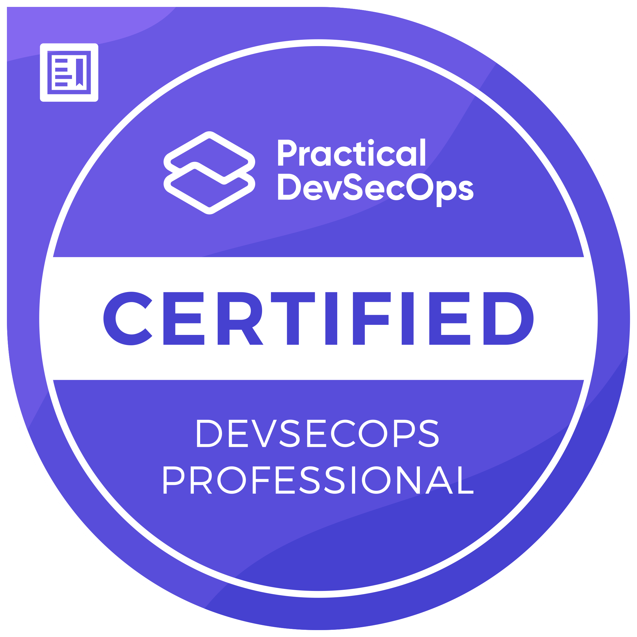Practical DevSecOps Logo Small